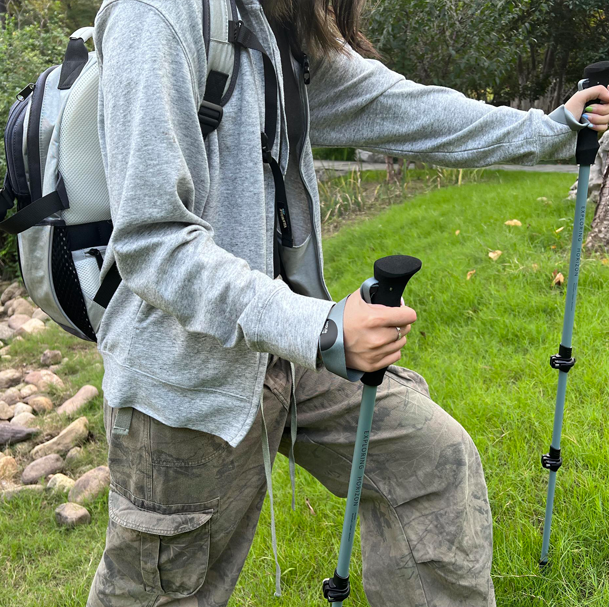 WETEK trekking sticks
